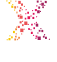 Pixxles